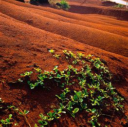 粉丝用虚幻5打造《GTASA重制版》预告